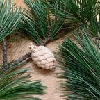 Tannenzapfen 12cm
