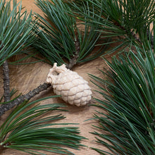 Carica l&#39;immagine nel visualizzatore di Gallery, Pigna in legno di cirmolo
