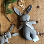 Coniglietto Cirmoletto grande