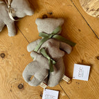 Orsetto Cirmoletto baby